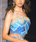 20 - Blue off-white sari